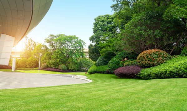 Cost of Commercial Lawn Mowing in Zionsville