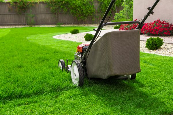 Home Yard Maintenance in Zionsville