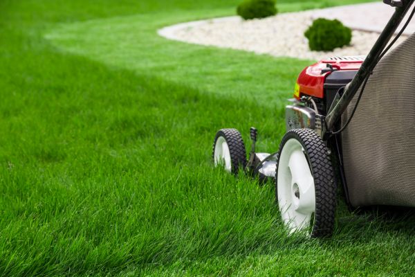Lawn Cutting Service in Zionsville