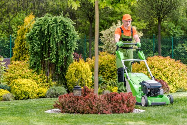 Yard Service in Zionsville