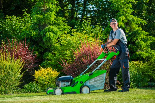 Yard Work Service in Zionsville