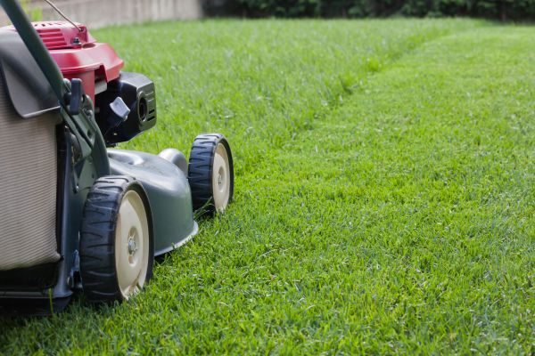 Residential Lawn Care in Zionsville