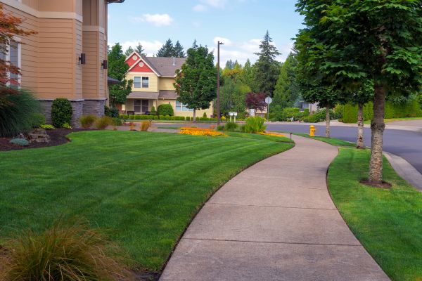 Home Lawn Maintenance in Zionsville
