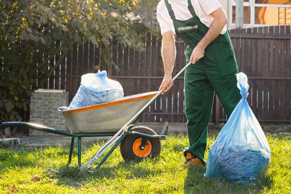 Yard Cleaning in Zionsville