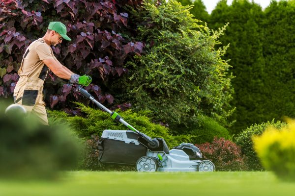 Lawn Management in Zionsville