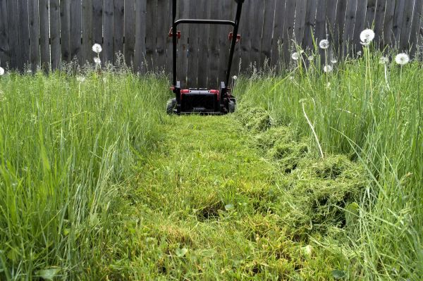 Cost of High Grass Mowing in Zionsville