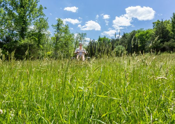 Cost of Long Grass Mowing in Zionsville