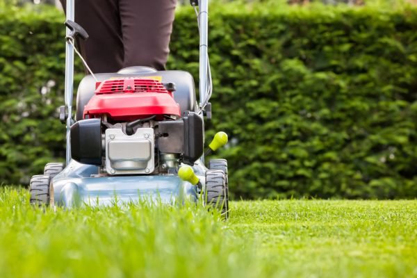Grass Trimming Service in Zionsville