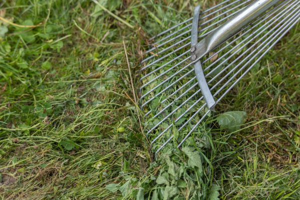 Thatch Raking in Zionsville