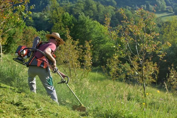 Slope Mowing in Zionsville