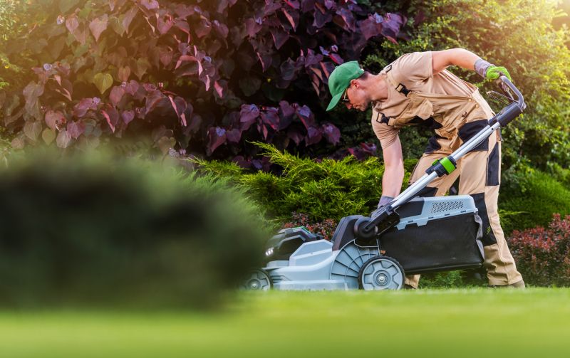 Commercial Lawn Service