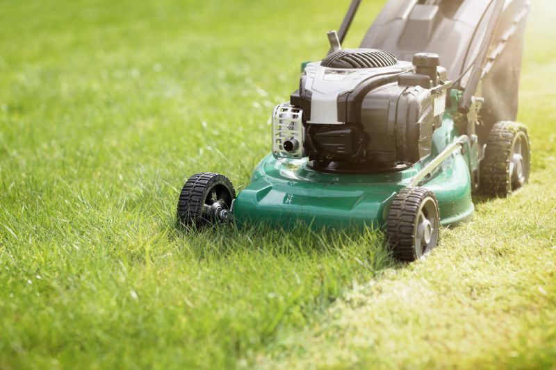 Business Lawn Maintenance detail