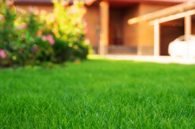 Weekly Lawn Care detail